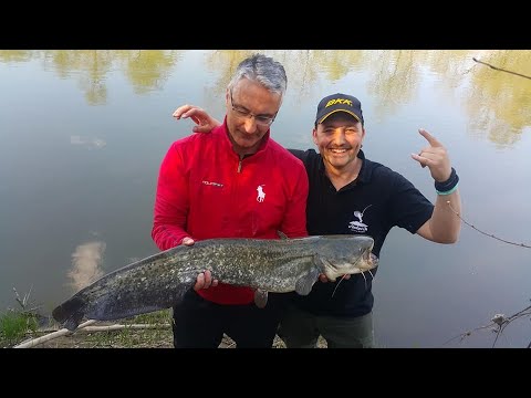 Sasa Kolakovic is Hooked On Zapadna Morava - Pecanje soma na glavinjaru