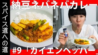 スパイス道への道#9「納豆ネバネバカレー」いろんな呼び名があるよ「カイエンペッパー」解説！