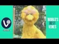 Bruh Vine Compilation BRUH