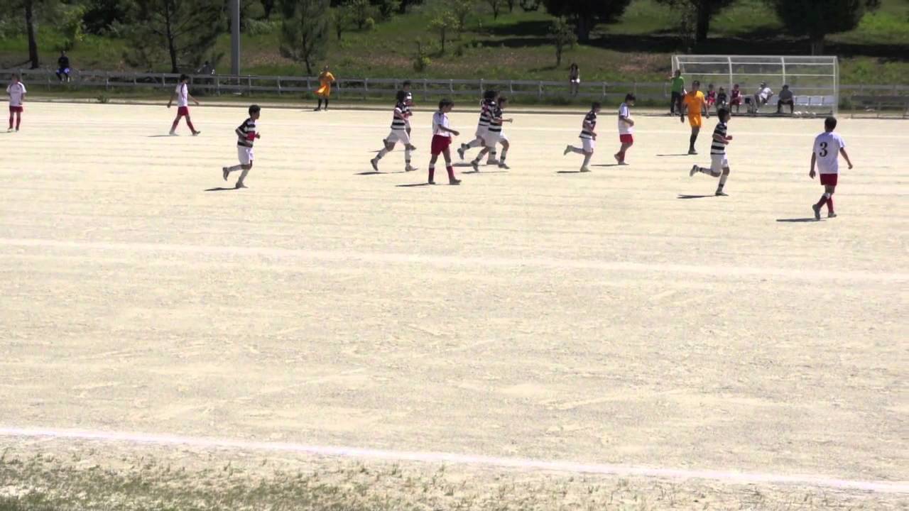 Soutelo Cesarense