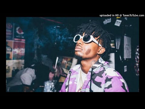 [FREE] Playboi Carti Type Beat - "Thot" (prod. BordonBeats)