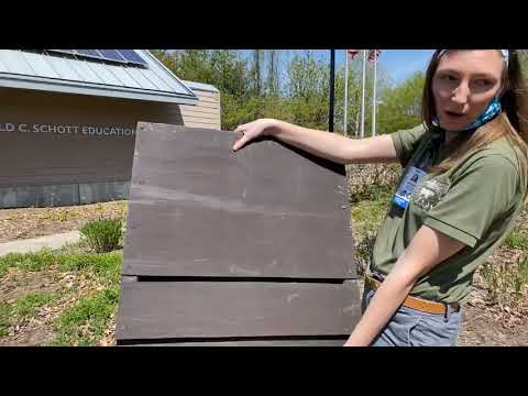 Home Safari - Earth Day - Cincinnati Zoo