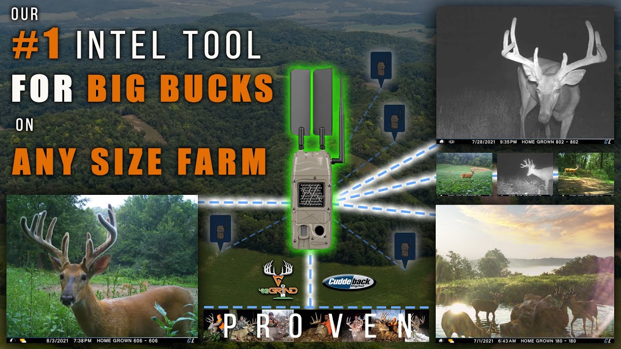 The Cuddelink System - Our #1 Intel Tool for Big Bucks on Any Size Farm