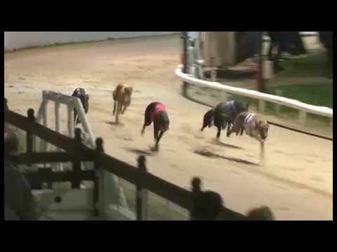 Goldies Hotspur - Mitch Millward Marathon - Heat 2