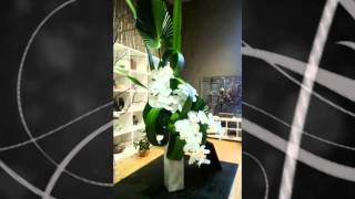 Joan sebastian-el padrino de cama