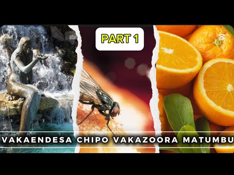 Hold onto your Spiritual gifts | A Chivanhu Encounter Part 1 | 