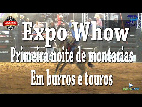 Expo Show Torixoreu primeira noite montaria de Burros e Touros