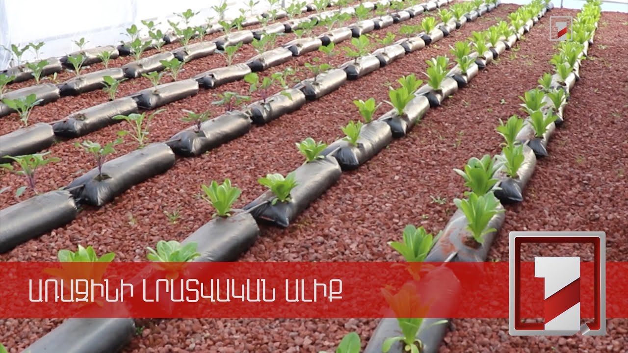 Վանաձորի №27 դպրոցում հիմնված ջերմոցի բարիքներից կօգտվեն նաև աշակերտները