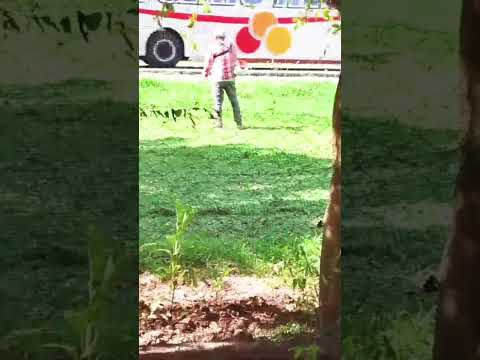 SOBRAN LOS TERRENOS ECONOMICOS EN LAGUNA BLANCA FORMOSA ARGENTINA UNA CIUDAD COMODA PARA VIVIR