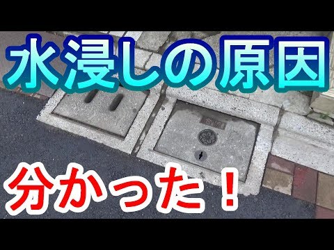 水浸し: 原因と予防 トピックス