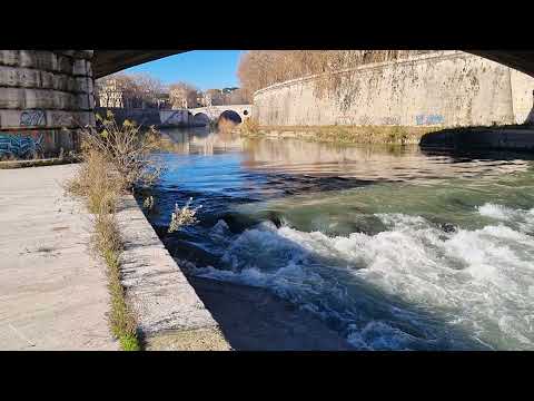 Tiber Island - 19 December 2021