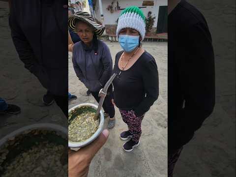 El Mate es una Drog..? el veneno ?? QUE DICEN los COLOMBIANOS de CÁCOTA #colombia #MATE #CACOTA