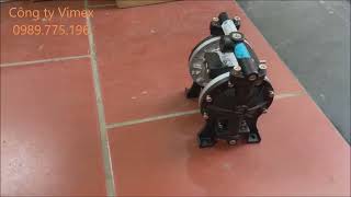 Bơm màng TDS DS03-AAT-TASS-02