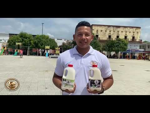 Yogurt monttesina dsd el Carmen de Bolivar contactanos WhatsApp 3017841756 via telefónica 3005751300