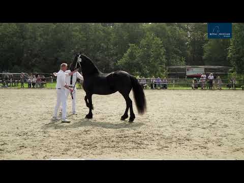 Fokdag It Fryske Hynder 21-8-2021 ochtendprogramma