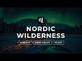 Nordic Wilderness | Crackling Fire & Wind Ambience + Ambient Music | 2 Hours Deep Focus
