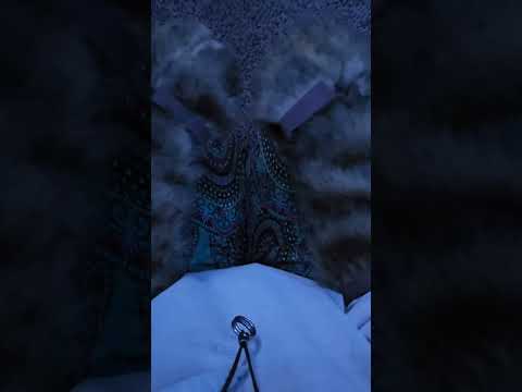 SHIFT☆pov : your first shift 🐾🪶 #therian #therianthropy #theriangear #quads #lynxtherian