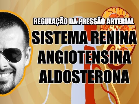 Renin-Angiotensin-Aldosterone System: Blood Pressure Regulation - Anatomy - Video Lesson 032