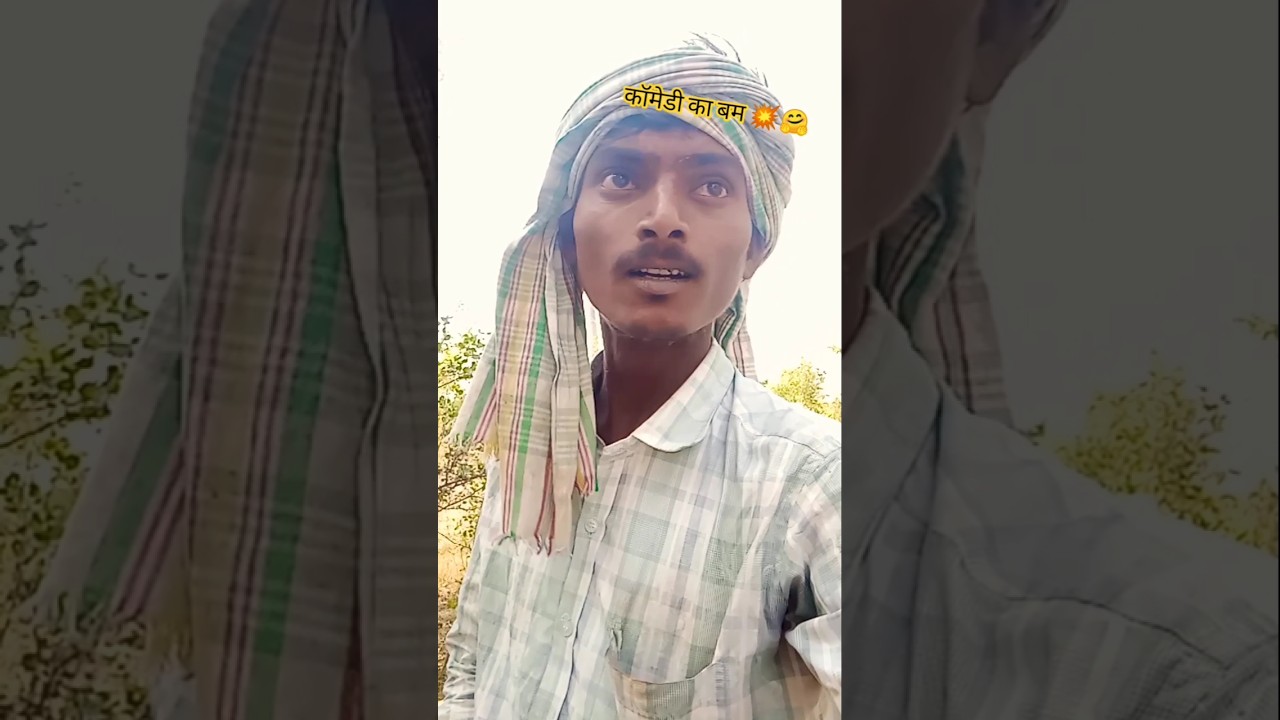 Best Funny Clip Ever 🤣 #wildlife #animals #funny