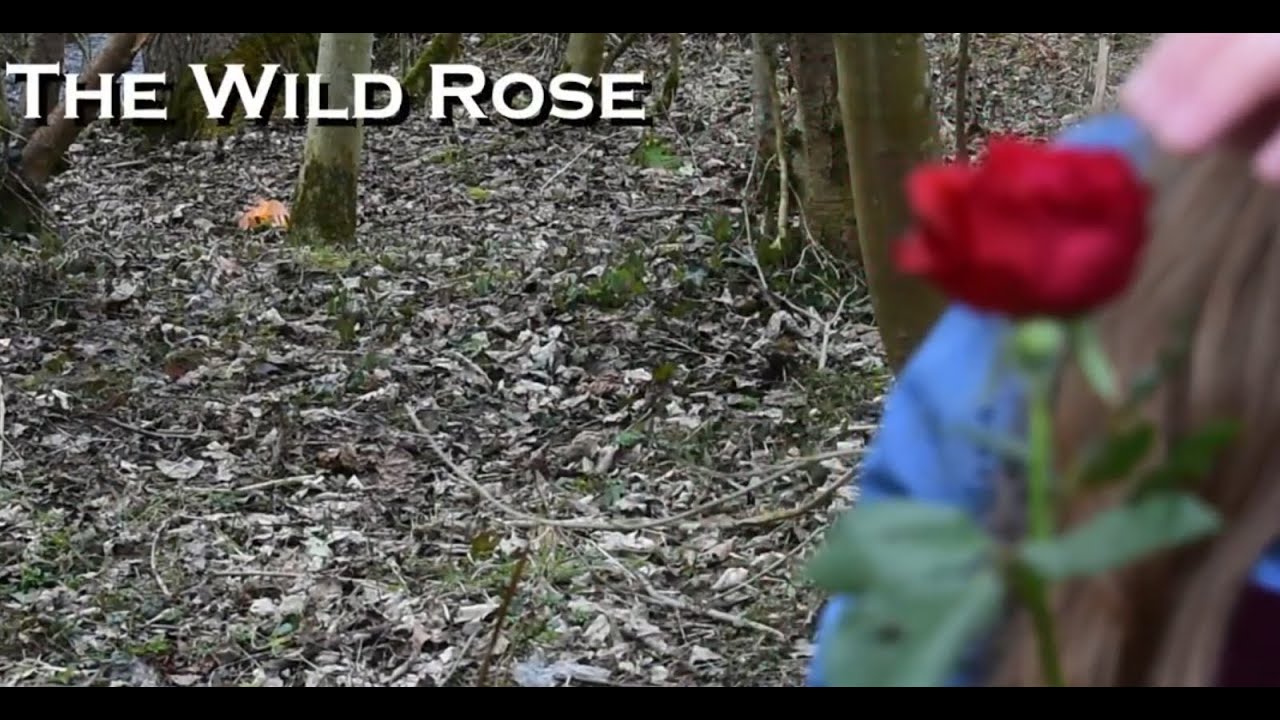 The Wild Rose - Short Film