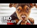 A DOG'S WAY HOME Trailer (2019)