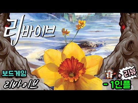 리바이브 - 리뷰 + 1인플