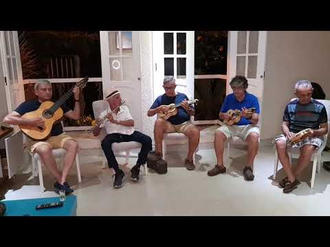 Regional Tira Teima - Flor do Cerrado (Waldir Azevedo)