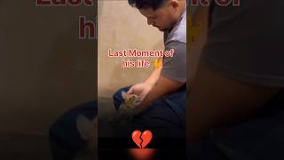 She Took Her Last Breath in His Arms 😭💔