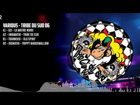 Various - Tribe Du Sud 06
