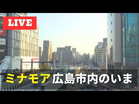 ミナモアのライブカメラ映像