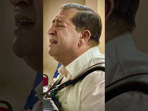 Fratele Vervelas Colaj de Doine 2024