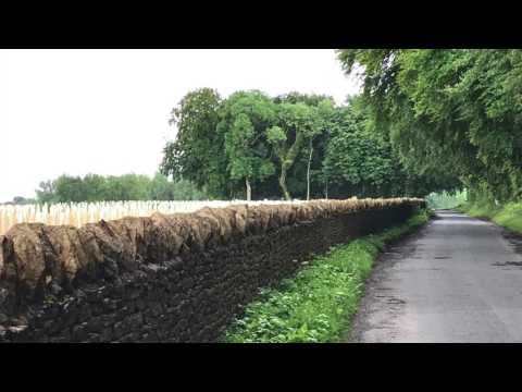 PsycloPz - Deterrent