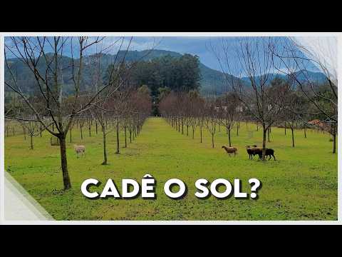 Conseguiria Morar Aqui?