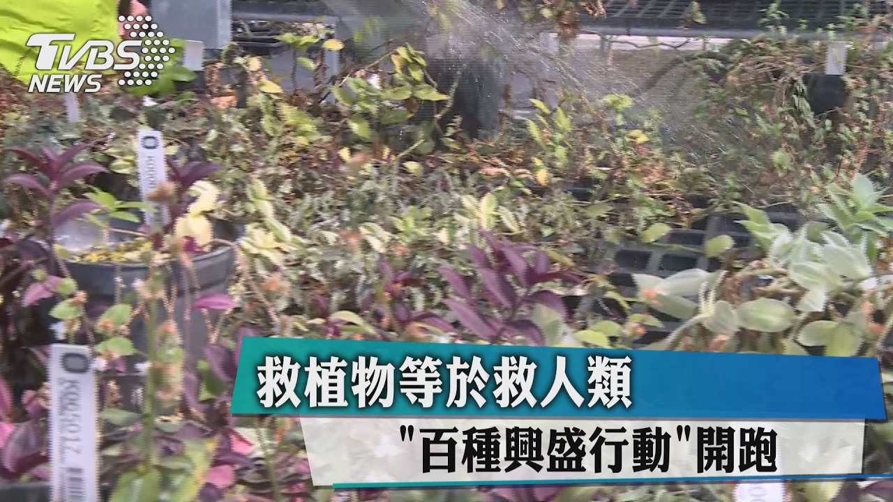 救植物等於救人類 「百種興盛行動」開跑