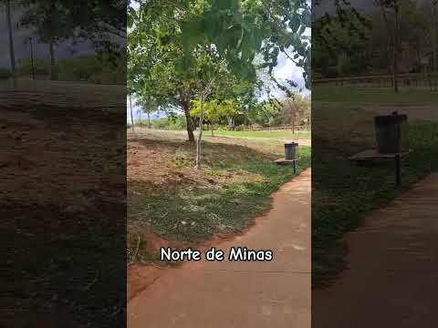 São João da Ponte-MG #shorts