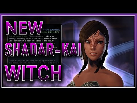 NEW Companion One-Shot Mobs New Zone! Damage Test AoE & Single Target - Neverwinter Mod 22