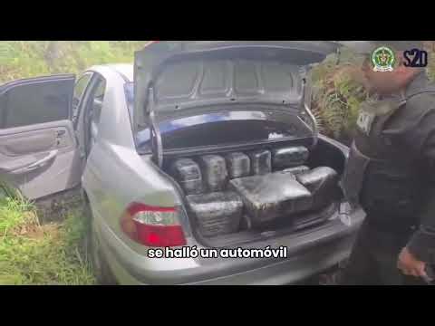 Incautan 300 kilos de marihuana en San Pedro de Cartago tras alerta ciudadana