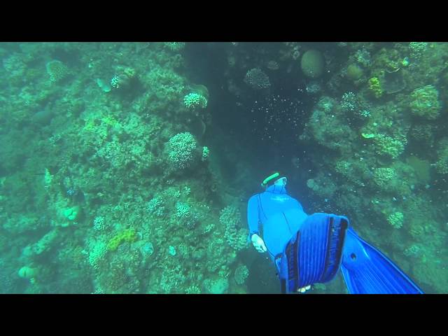 GoPro: Snorkeling -  The Great Barrier Reef Cairns