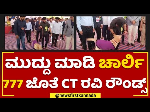 Chikkamagaluru ಡಾಗ್ ಶೋ ಉದ್ಘಾಟನೆಯಲ್ಲಿ Charlie 777. ಭಾಗಿ | Dog Show | @newsfirstkannada