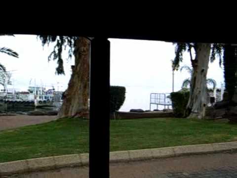 Ameinu Mission on the Kibbutz Ein Gev Choo Choo