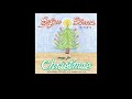 Sufjan Stevens - Hey Guys! It's Christmas Time! (subtitulada en español)