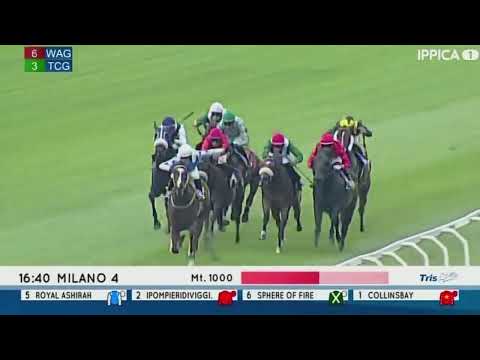 2022.06.05 Premio Certosa (ITA) - Ipompieridiviggiu