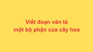 Viết đoạn văn tả một bộ phận của cây hoa