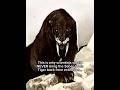Why scientists would NEVER bring back the Saber-tooth Tiger #smilodon #deextinction