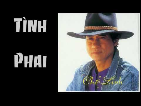 Tình phai Sheet - Chế Linh