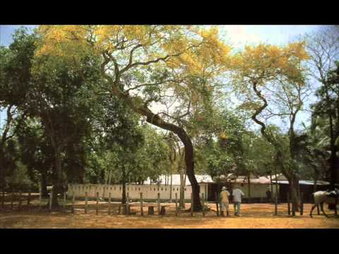 FG  Historia de La Rubiera - Ángel Ávila