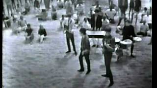 The Animals - It&#39;s My Life (clip, 1965) ♫♥