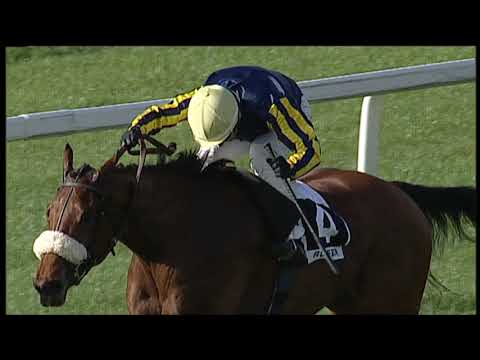 2018-11-01 Corsa 1 Metri 1500 Premio Signorinetta