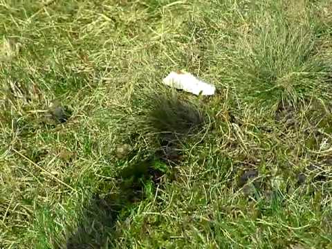 Navigation without a compass - Part 1