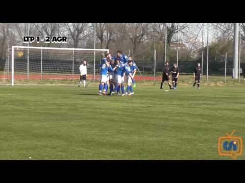 Sintesi Ltp - Agrate 1995